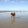 August 2010 St. Peter Ording